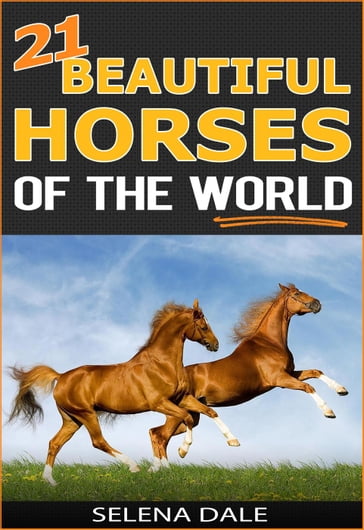 21 Beautiful Horses Of The World - Selena Dale