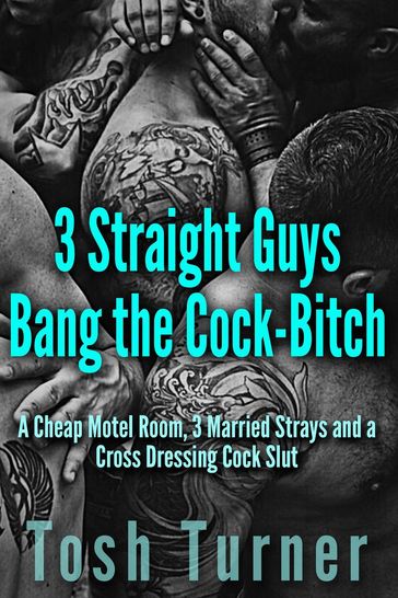 3 Straight Guys Bang the Cock-Bitch: A Cheap Motel Room, 3 Married Strays and a Cross Dressing Cock Slut - Tosh Turner