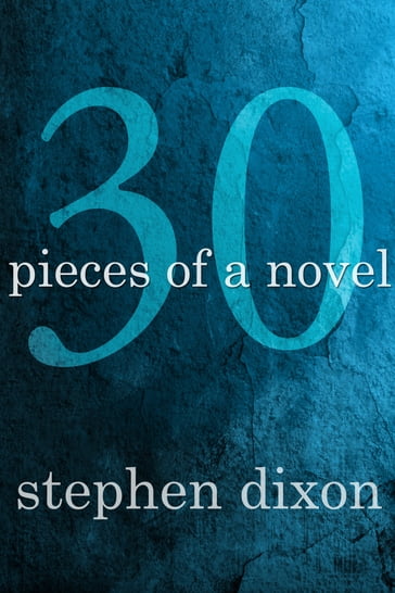 30 Pieces of a Novel - Stephen Dixon