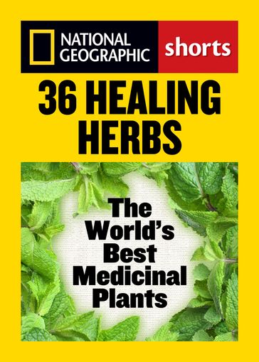 36 Healing Herbs - Rebecca Johnson