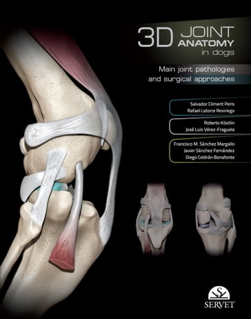 3D Joint anatomy in dogs - Salvador Climent - Rafael Latorre - Roberto Kostlin