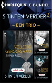 5 Tinten Verder 2  een trio