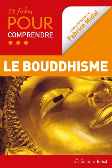 50 fiches pour comprendre le bouddhisme - Philippe Cornu - Philippe Coupey - Alexis Lavis - Fabrice Midal - Matthieu Ricard