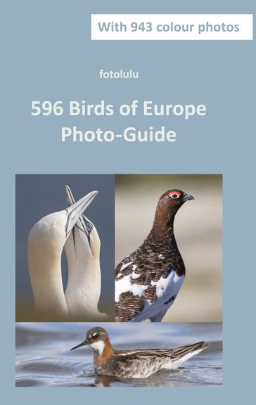 596 Birds of Europe - fotolulu