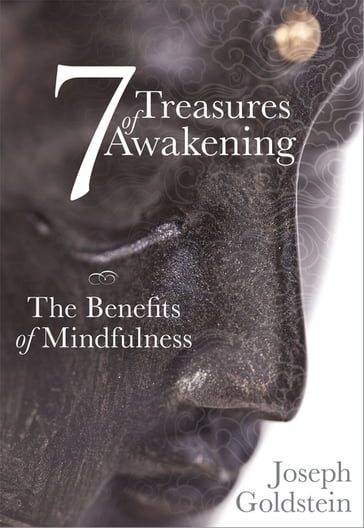 7 Treasures of Awakening - Joseph Goldstein