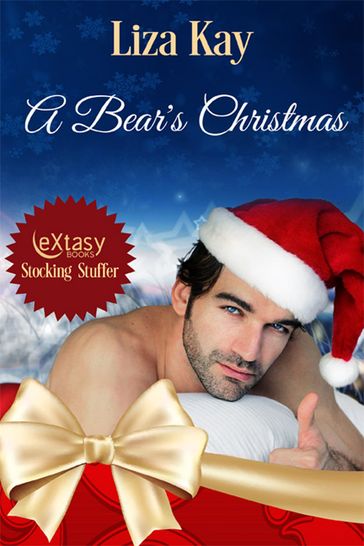 A Bear's Christmas - Liza Kay