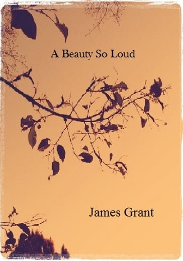 A Beauty So Loud - Grant James