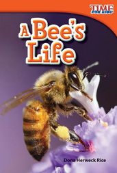 A Bee s Life