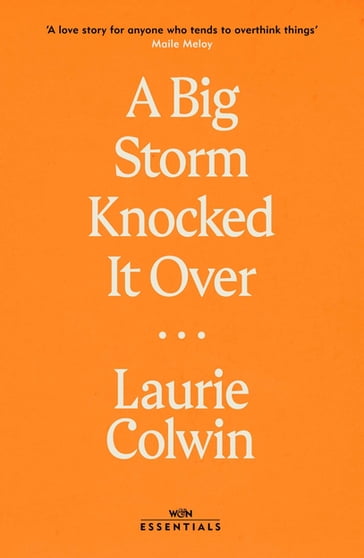 A Big Storm Knocked it Over - Laurie Colwin