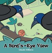 A Bird s-Eye View
