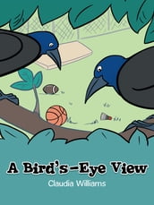 A Bird s-Eye View