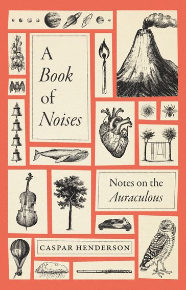 A Book of Noises - Caspar Henderson