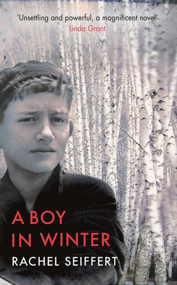 A Boy in Winter - Rachel Seiffert