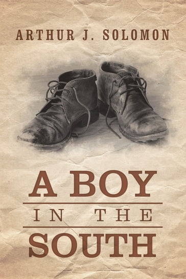 A Boy in the South - Arthur J. Solomon