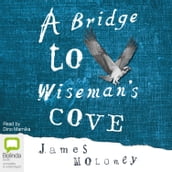 A Bridge to Wiseman s Cove