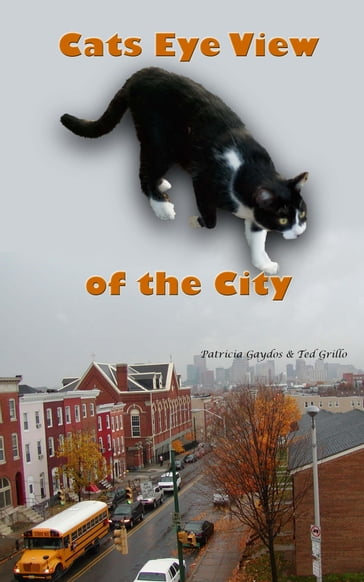 A Cat's Eye View of the City - Patricia Gaydos