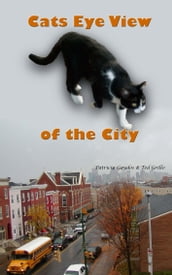 A Cat s Eye View of the City