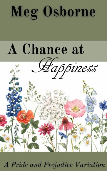 A Chance at Happiness - Meg Osborne