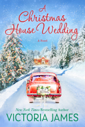 A Christmas House Wedding