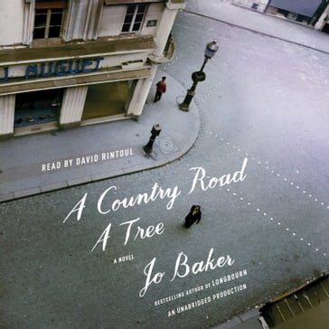 A Country Road, A Tree - Jo Baker