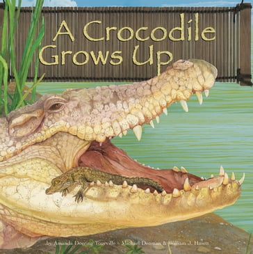 A Crocodile Grows Up - Amanda Doering Tourville