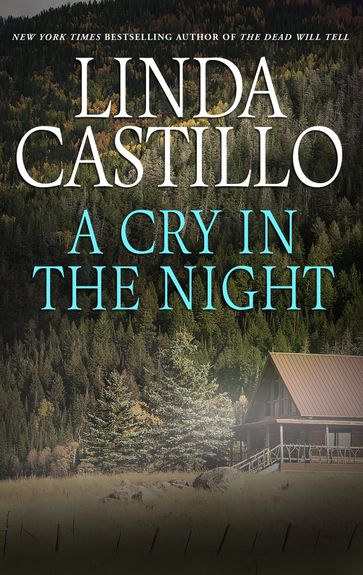 A Cry in the Night - Linda Castillo