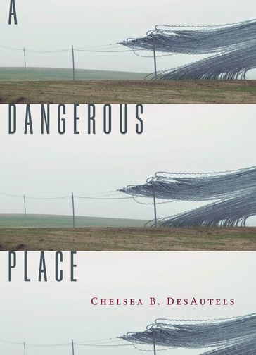 A Dangerous Place - Chelsea B. DesAutels