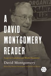 A David Montgomery Reader