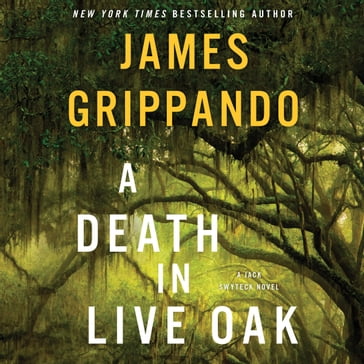 A Death in Live Oak - James Grippando
