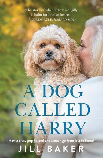A Dog Called Harry - Jill Baker