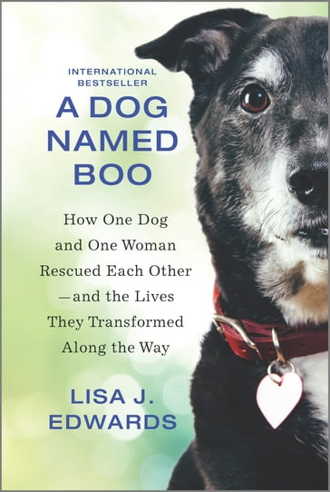 A Dog Named Boo - Lisa J. Edwards