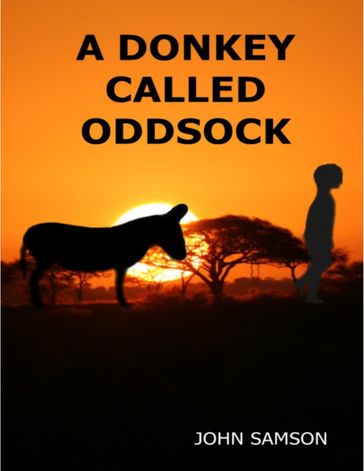 A Donkey Called Oddsock - John Samson