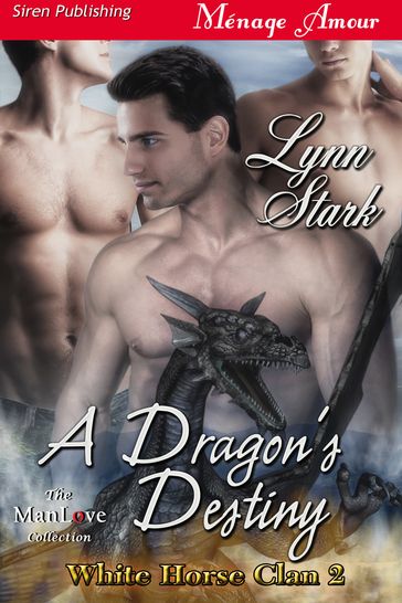 A Dragon's Destiny - Lynn Stark