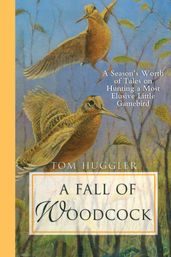 A Fall of Woodcock