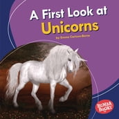 A First Look at Unicorns