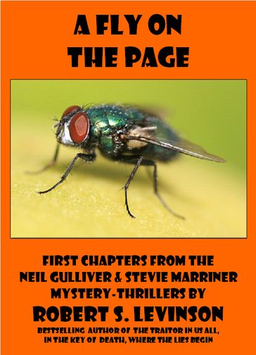 A Fly on the Page - Robert S. Levinson