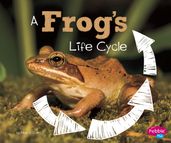 A Frog s Life Cycle