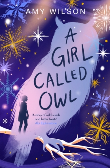A Girl Called Owl - Amy Wilson