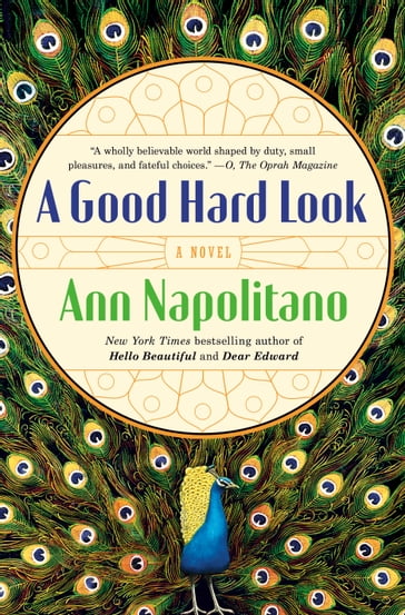 A Good Hard Look - Ann Napolitano