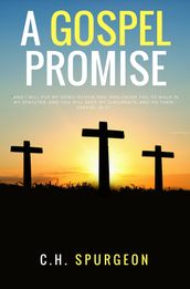 A Gospel Promisse