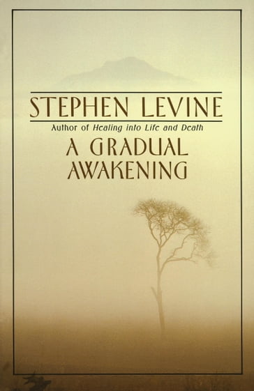 A Gradual Awakening - Stephen Levine