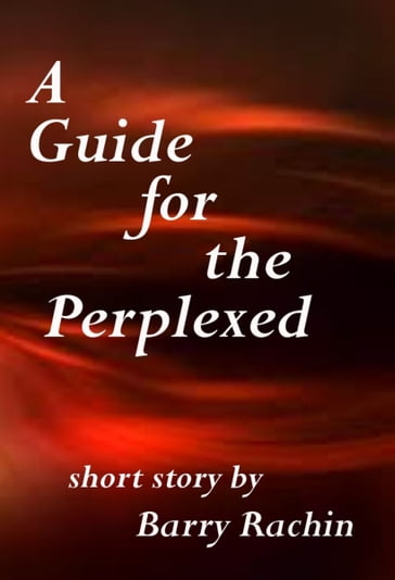 A Guide for the Perplexed - Barry Rachin