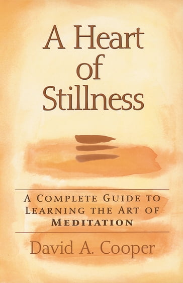 A Heart of Stillness - Rabbi David A. Cooper