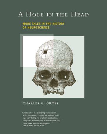 A Hole in the Head - Charles G. Gross