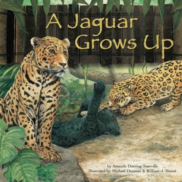 A Jaguar Grows Up - Amanda Doering Tourville