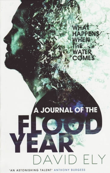 A Journal Of The Flood Year - David Ely