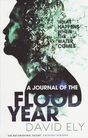 A Journal Of The Flood Year