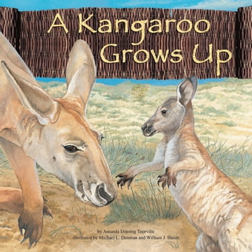 A Kangaroo Grows Up - Amanda Doering Tourville