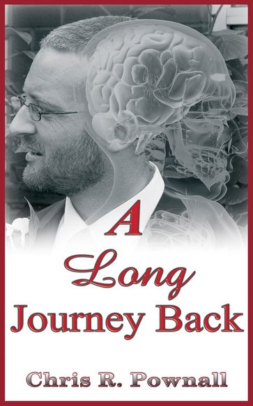 A Long Journey Back - Chris R. Pownall