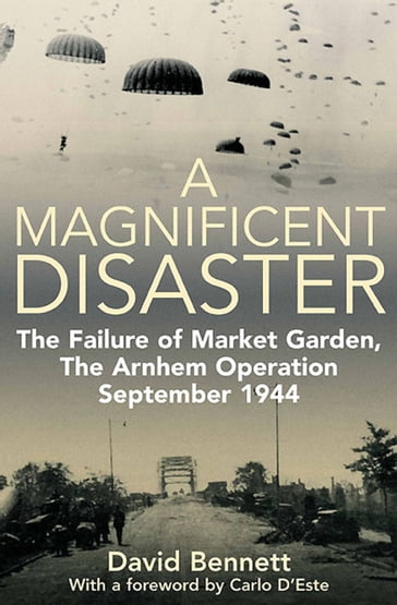 A Magnificent Disaster - David Bennett